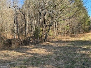 1638 New Stansbury Road Turtletown - Photo 49