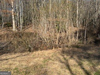 1638 New Stansbury Road Turtletown - Photo 50