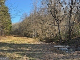 1638 New Stansbury Road Turtletown - Photo 51