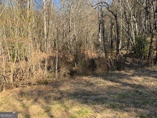 1638 New Stansbury Road Turtletown - Photo 52