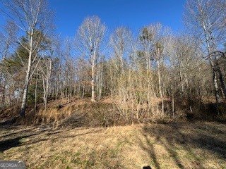 1638 New Stansbury Road Turtletown - Photo 53