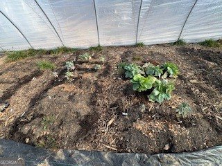 1638 New Stansbury Road Turtletown - Photo 59