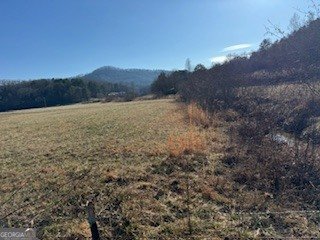 1638 New Stansbury Road Turtletown - Photo 76