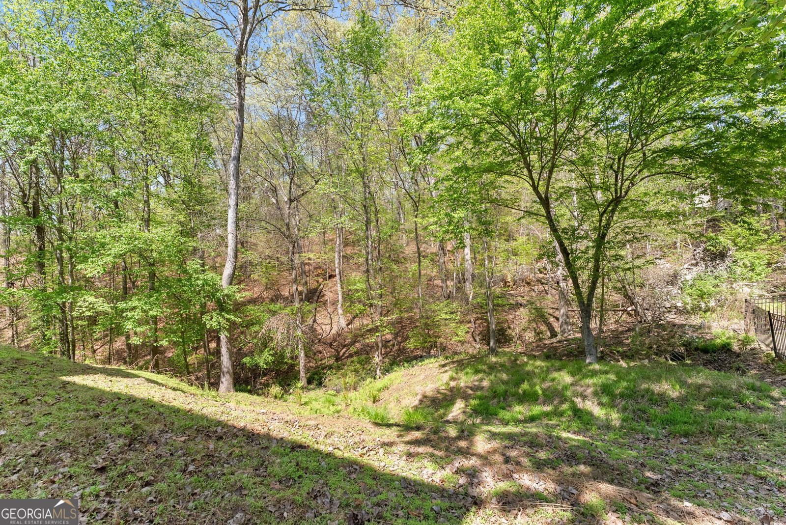 3656 Castle View Court Suwanee - Photo 43