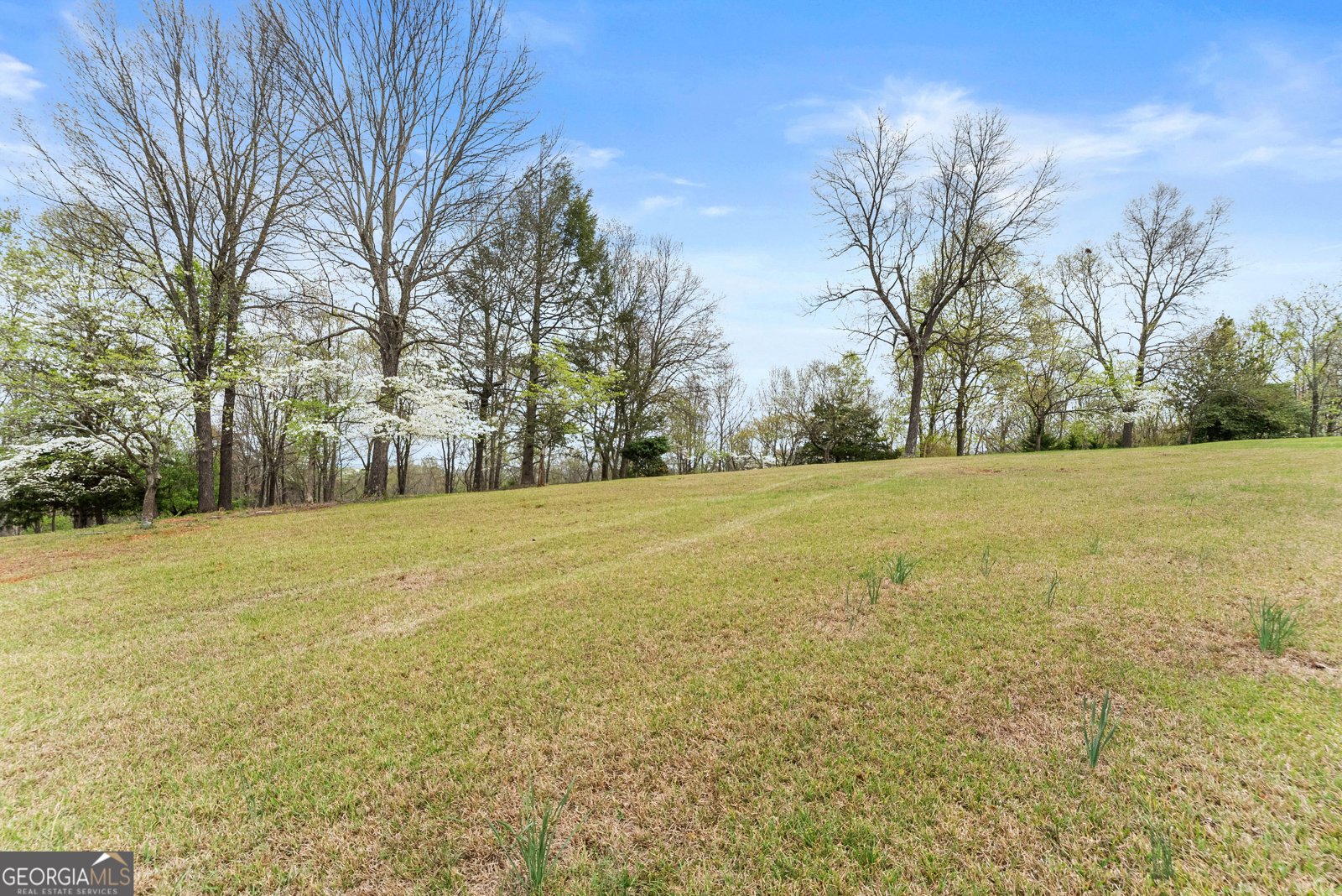 664 Chenocetah Drive Cornelia - Photo 41