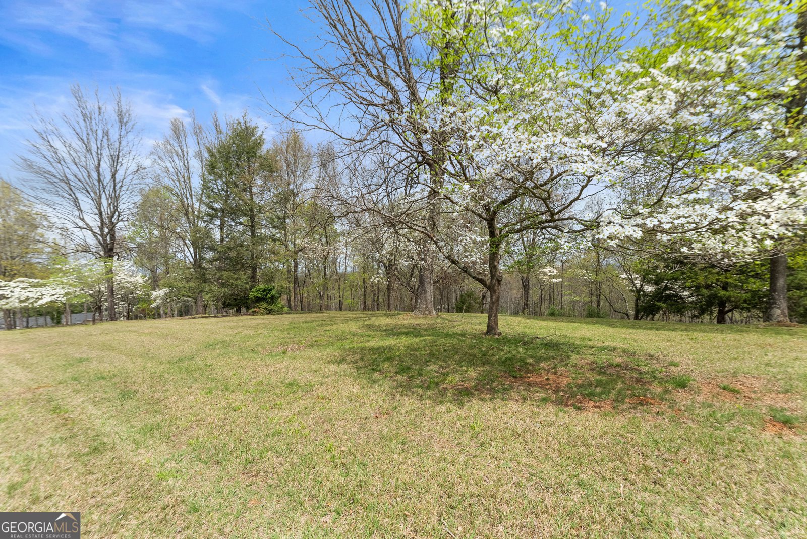 664 Chenocetah Drive Cornelia - Photo 42