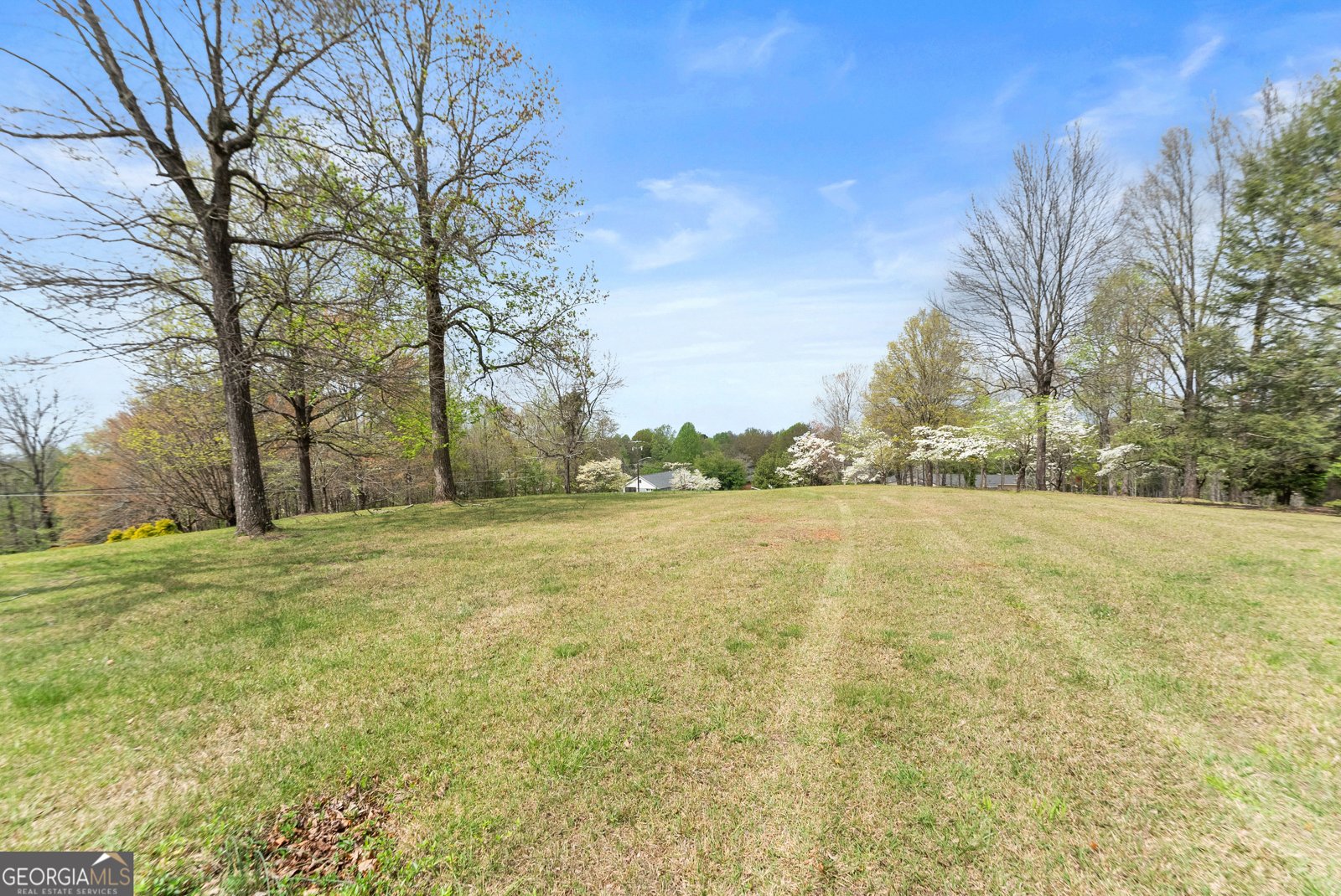 664 Chenocetah Drive Cornelia - Photo 43