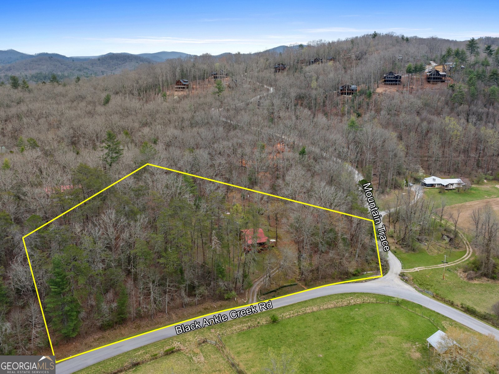 541 Black Ankle Creek Road Cherry Log - Photo 10