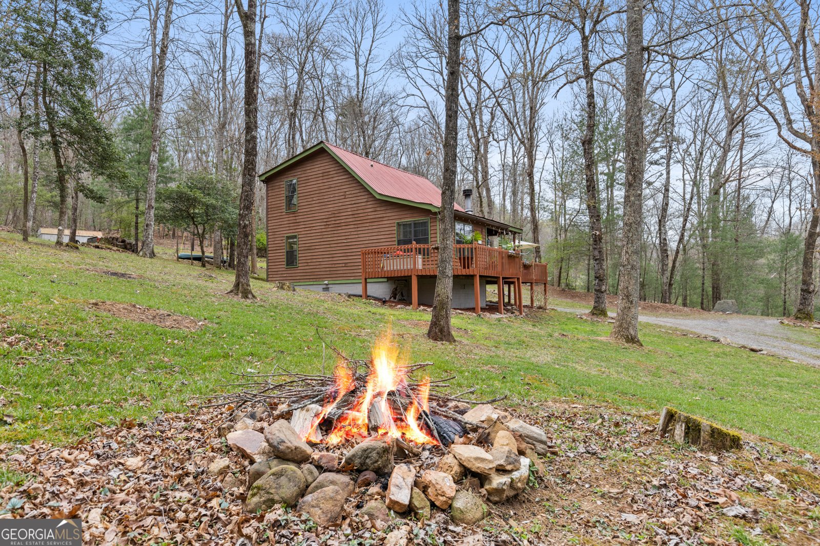 541 Black Ankle Creek Road Cherry Log - Photo 30