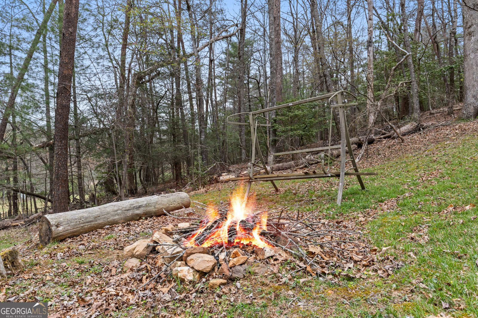 541 Black Ankle Creek Road Cherry Log - Photo 31