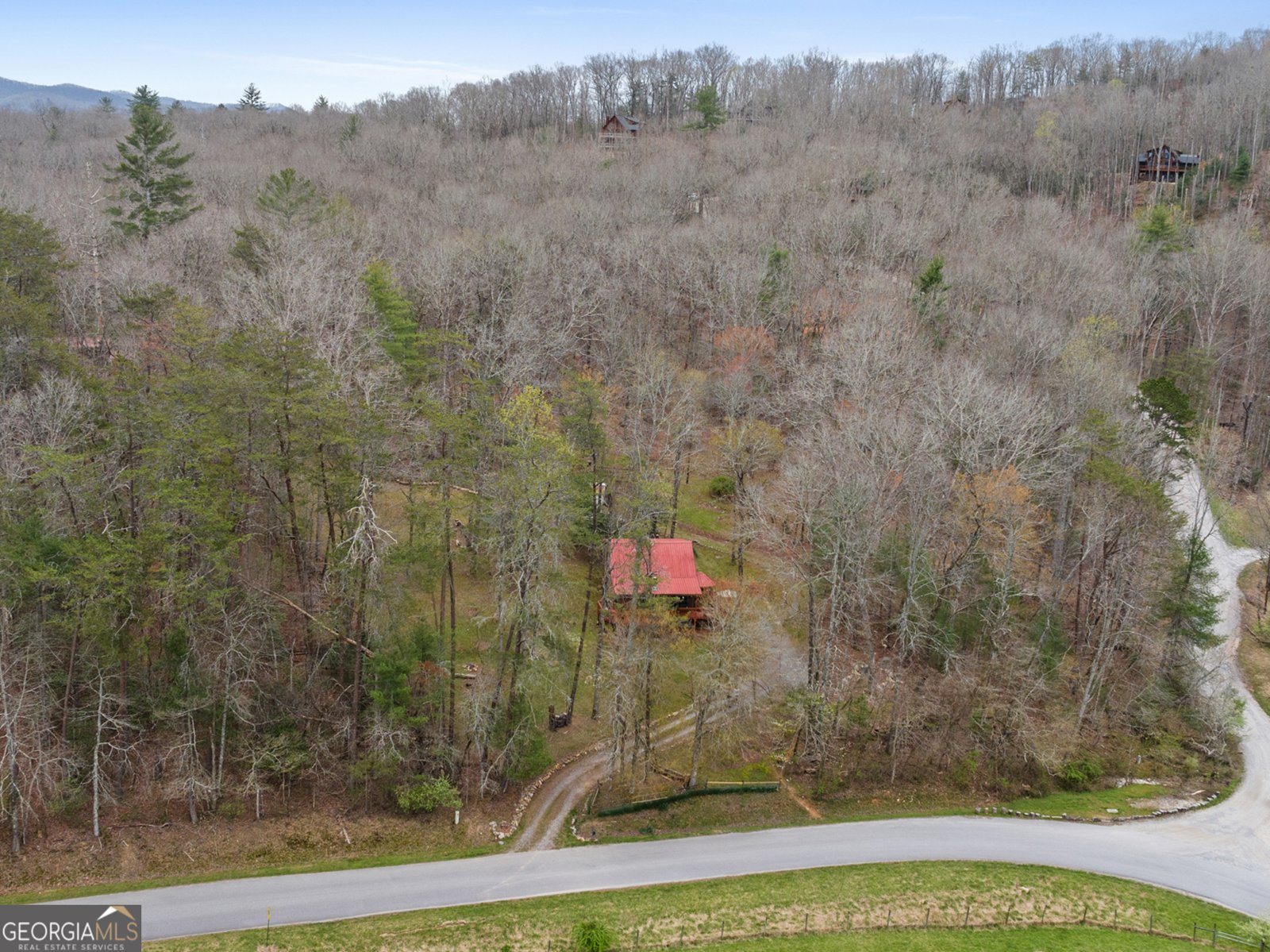 541 Black Ankle Creek Road Cherry Log - Photo 9