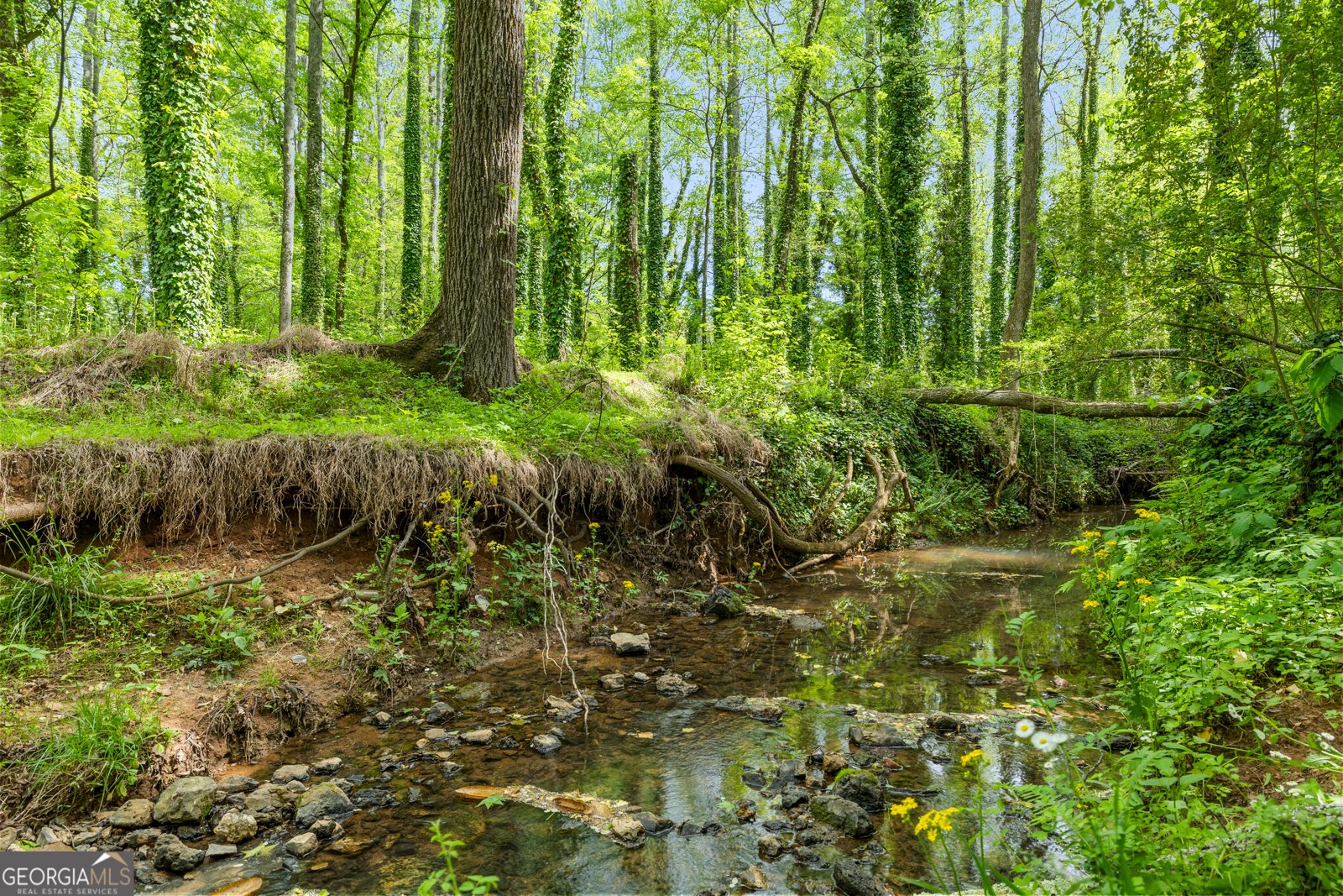 71 Hughes Dairy Road Lindale - Photo 30