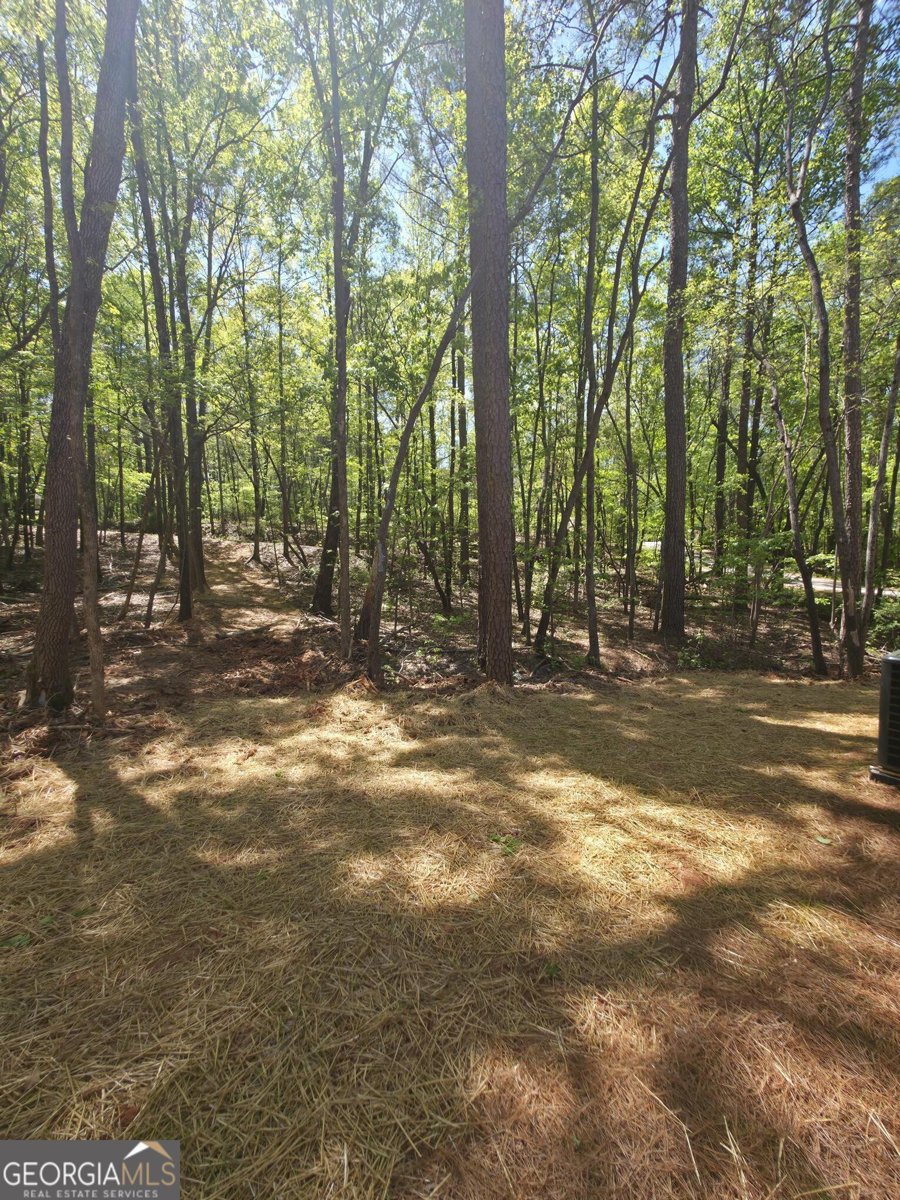 255 Hanover Drive Bogart - Photo 27