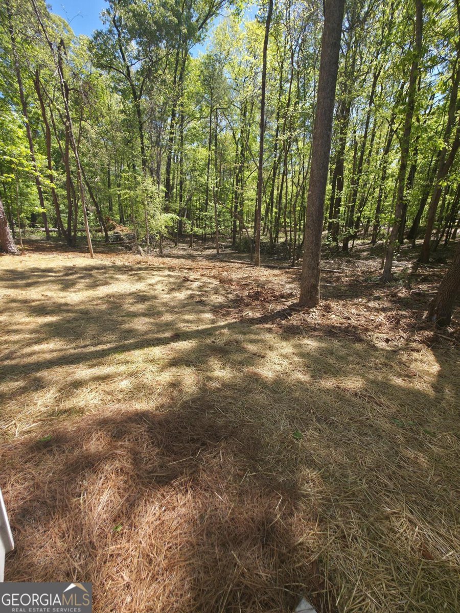 255 Hanover Drive Bogart - Photo 28