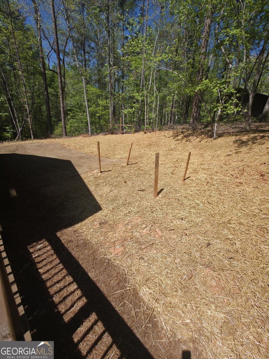 255 Hanover Drive Bogart - Photo 29