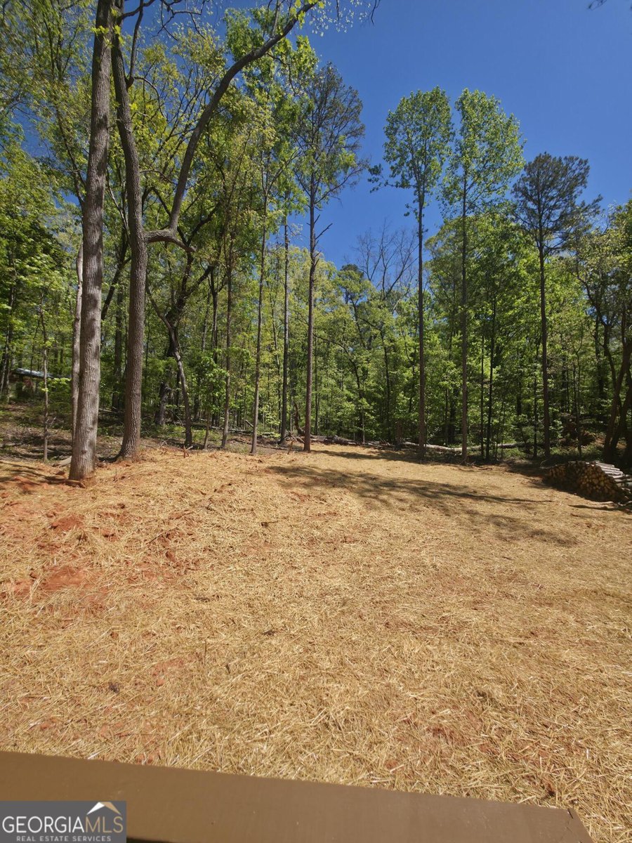 255 Hanover Drive Bogart - Photo 30