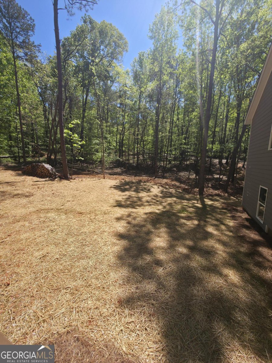 255 Hanover Drive Bogart - Photo 31