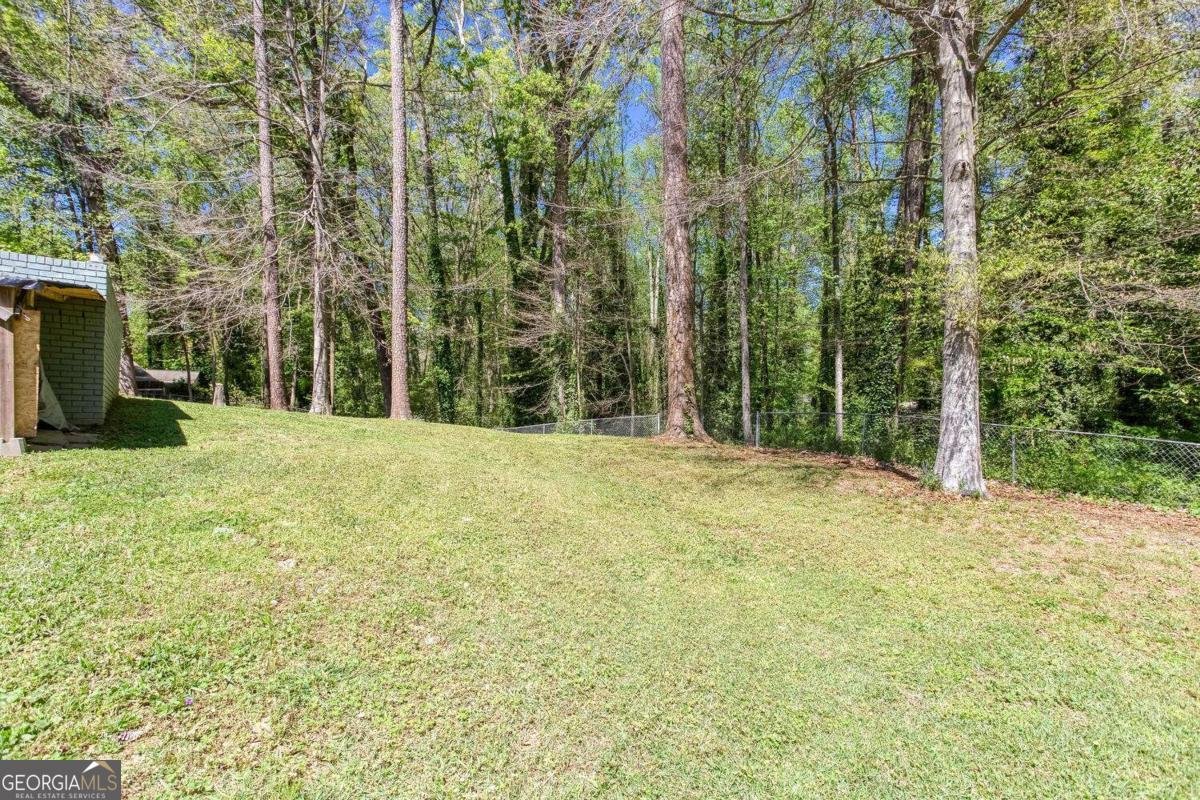 3135 Laura Lane Lithia Springs - Photo 50