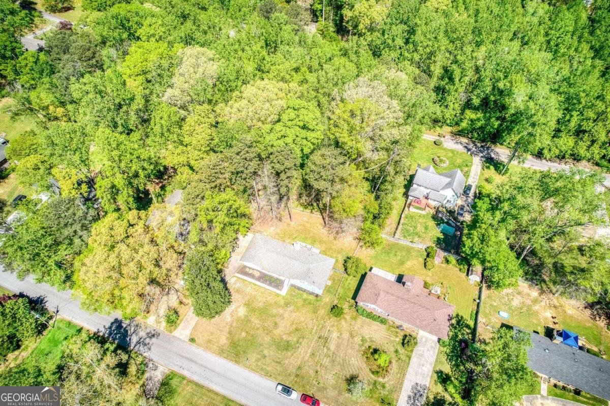 3135 Laura Lane Lithia Springs - Photo 55