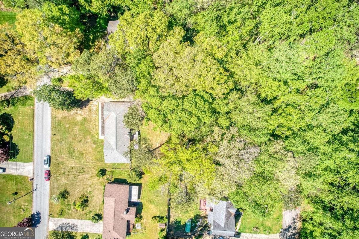 3135 Laura Lane Lithia Springs - Photo 58