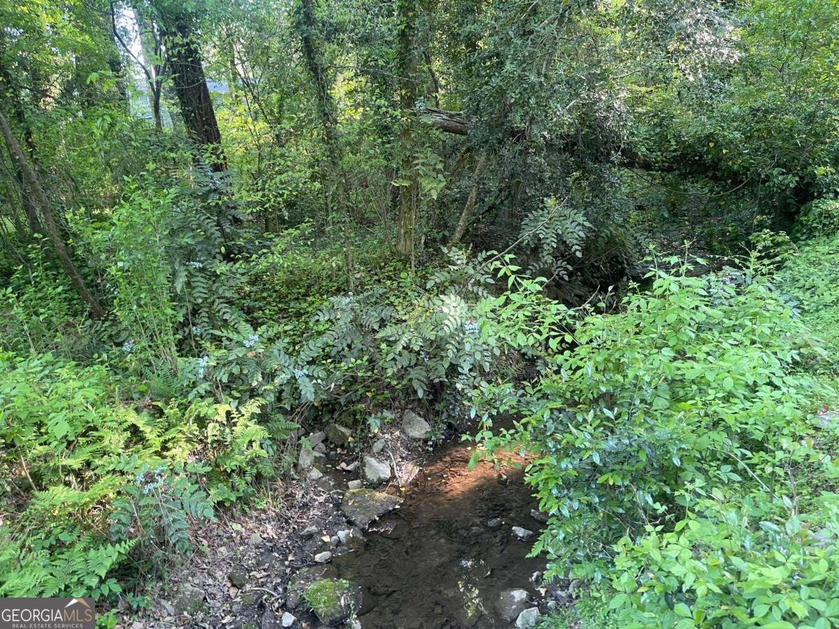 3135 Laura Lane Lithia Springs - Photo 59