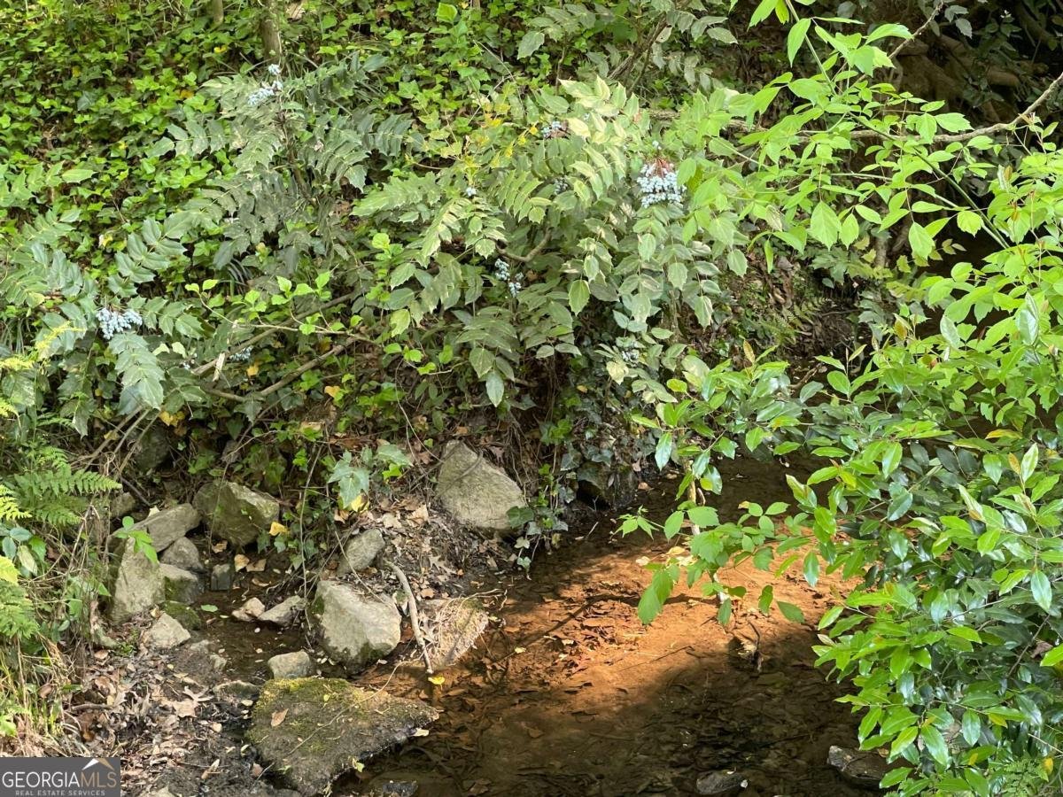 3135 Laura Lane Lithia Springs - Photo 60