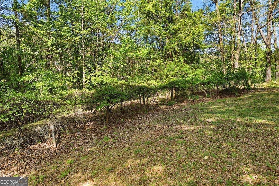 793 Cardinal Cove Woodstock - Photo 45