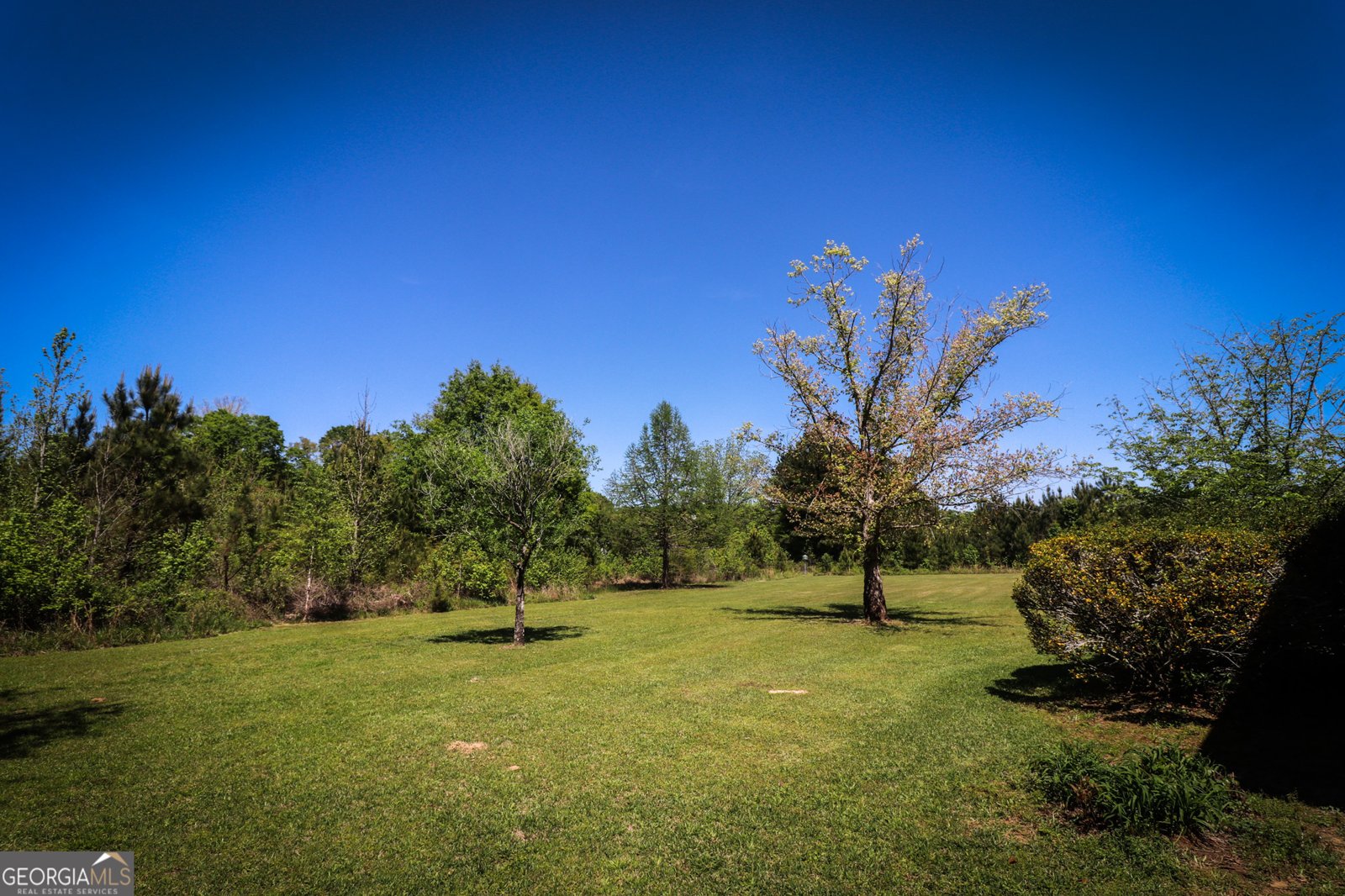 140 Milner Street Meansville - Photo 13