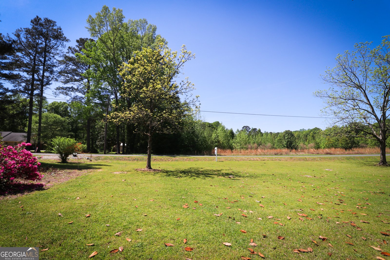 140 Milner Street Meansville - Photo 35