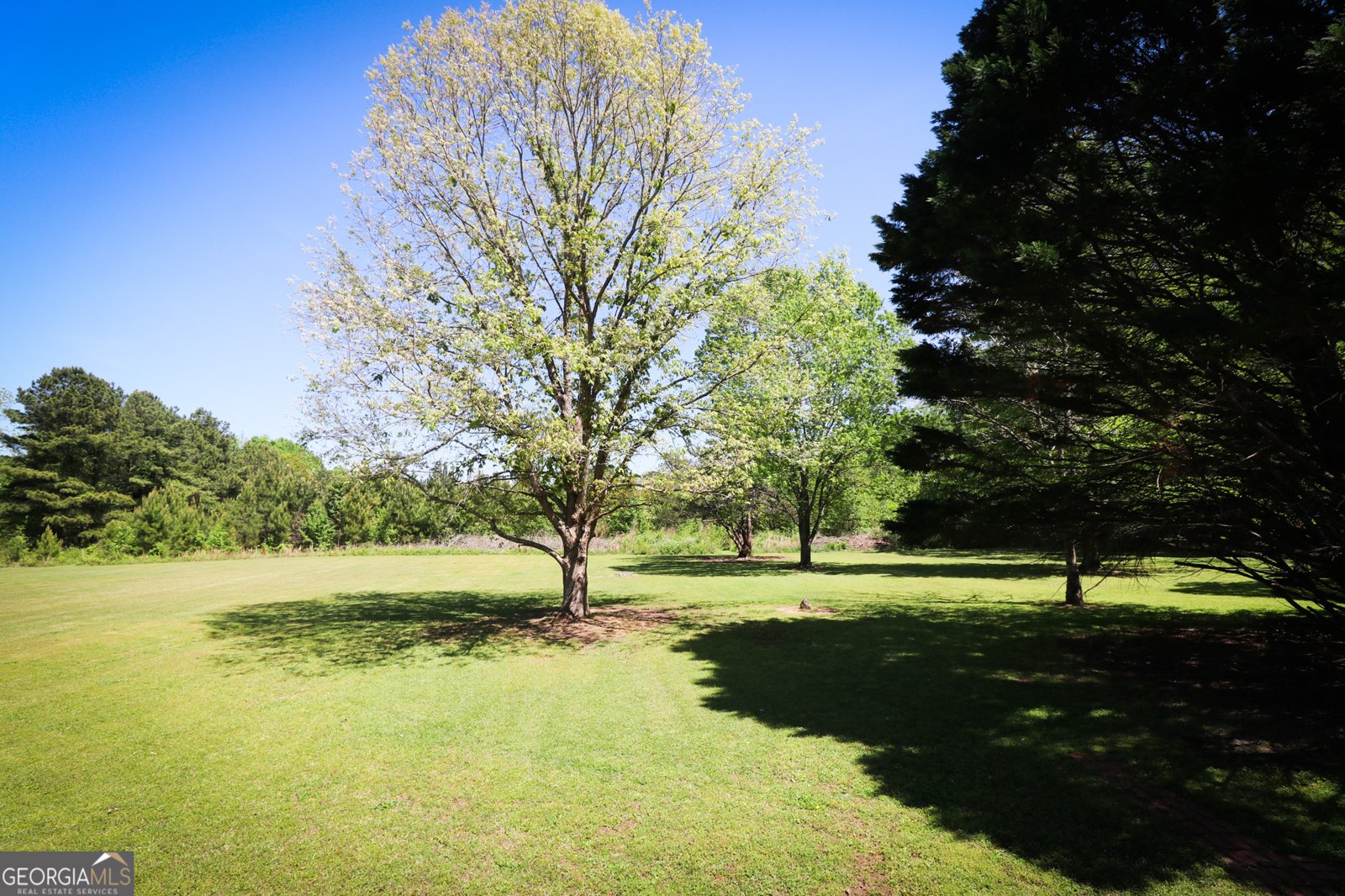 140 Milner Street Meansville - Photo 44