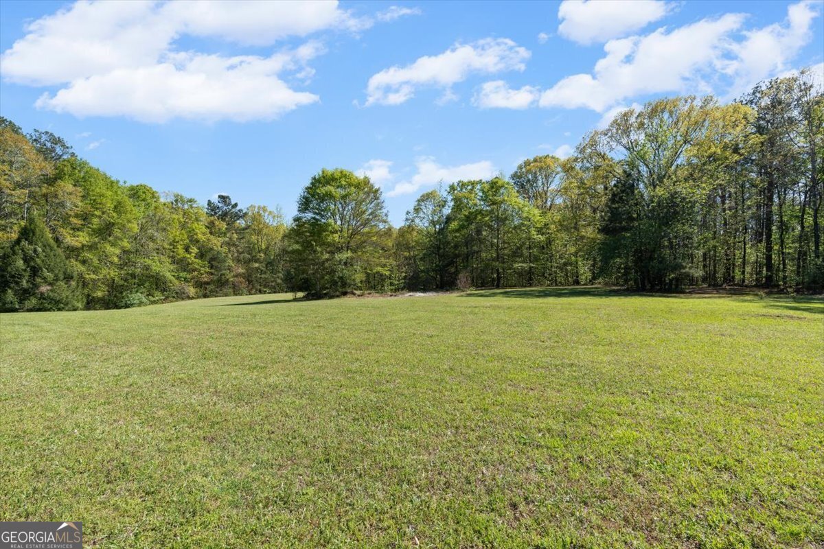 812 Pine Grove Road Tallapoosa - Photo 42