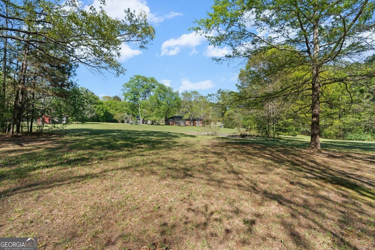 812 Pine Grove Road Tallapoosa - Photo 44