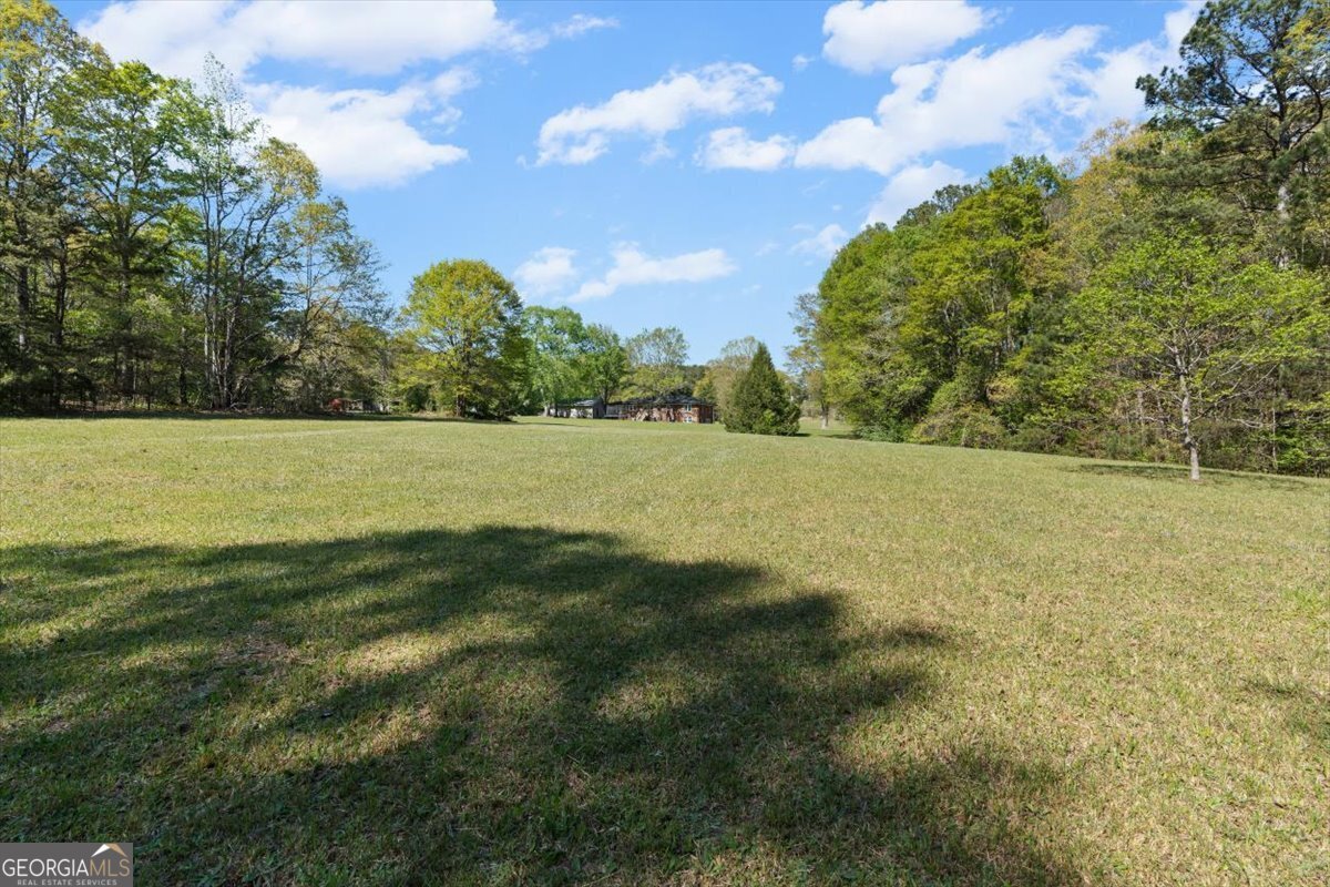 812 Pine Grove Road Tallapoosa - Photo 45