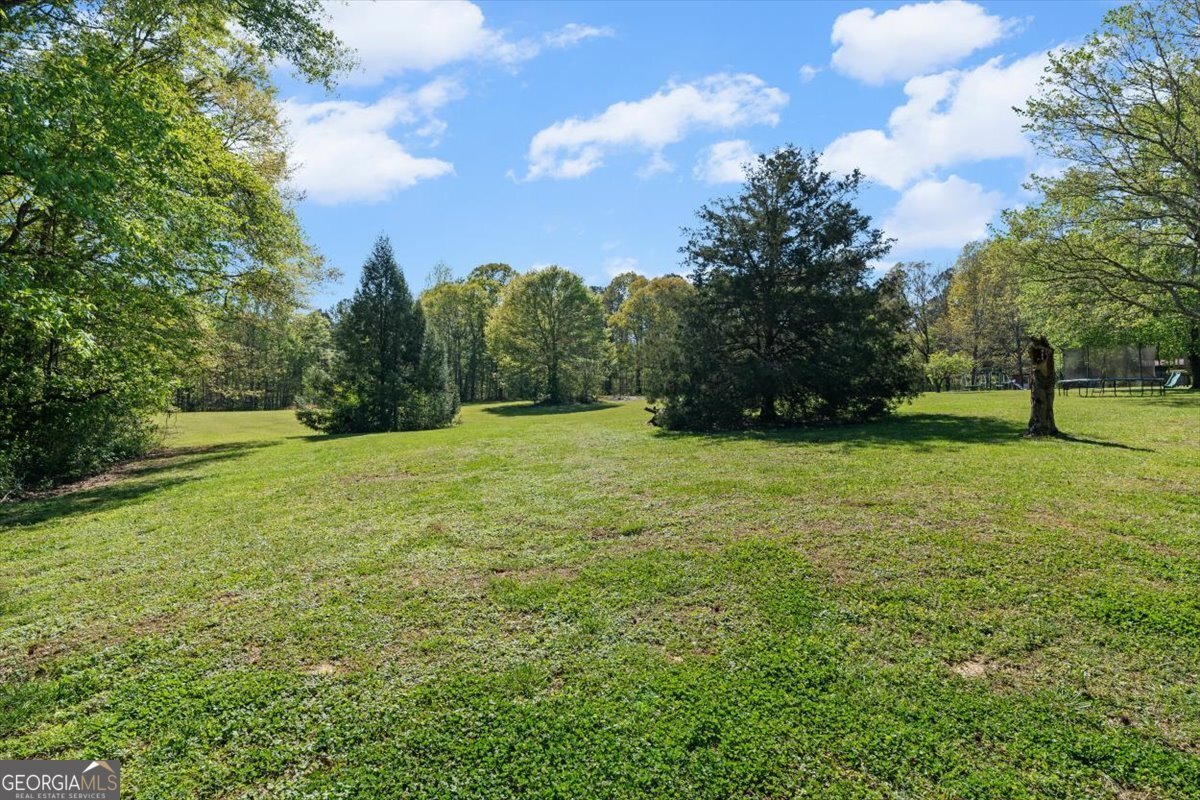 812 Pine Grove Road Tallapoosa - Photo 48