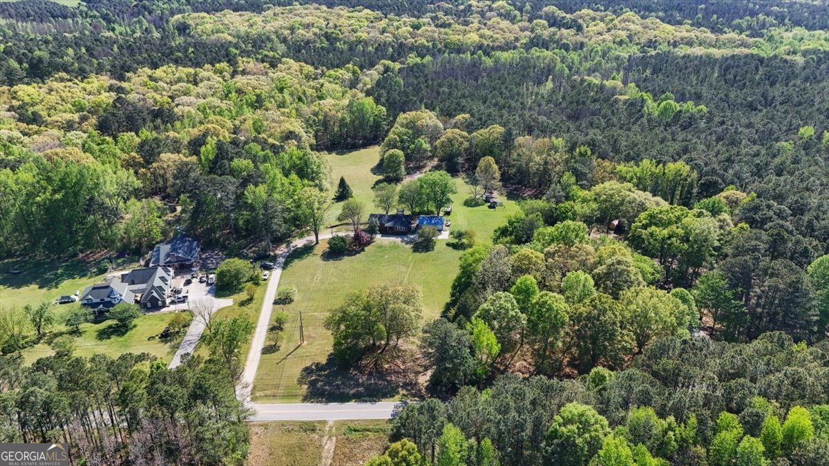 812 Pine Grove Road Tallapoosa - Photo 51