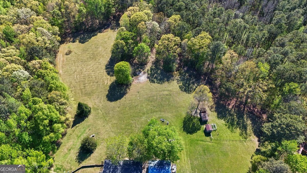 812 Pine Grove Road Tallapoosa - Photo 52