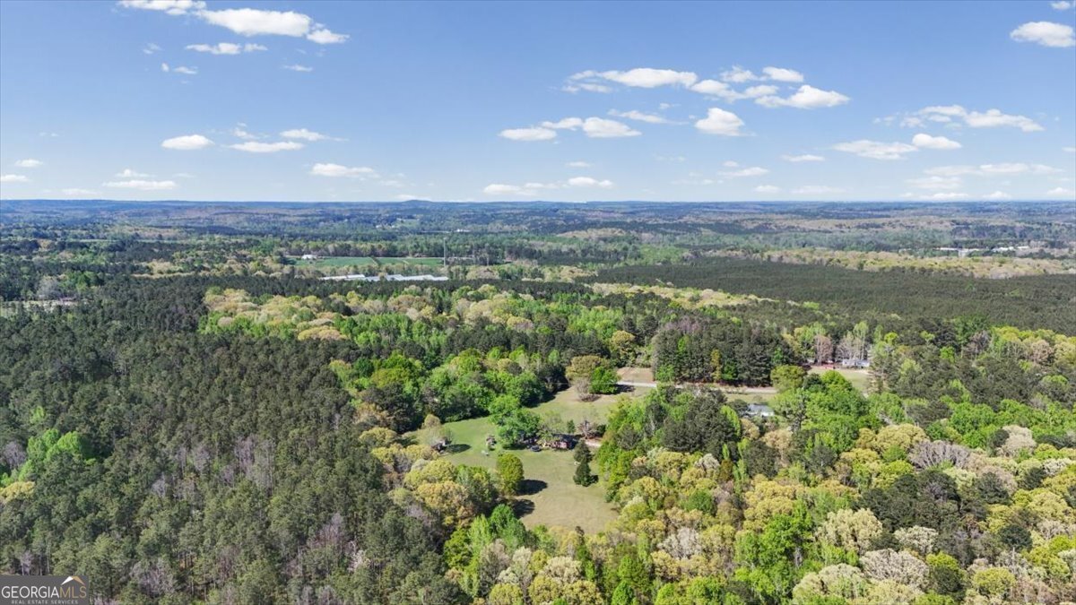 812 Pine Grove Road Tallapoosa - Photo 53