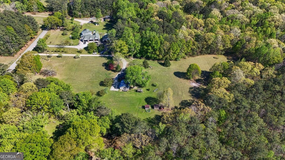 812 Pine Grove Road Tallapoosa - Photo 54