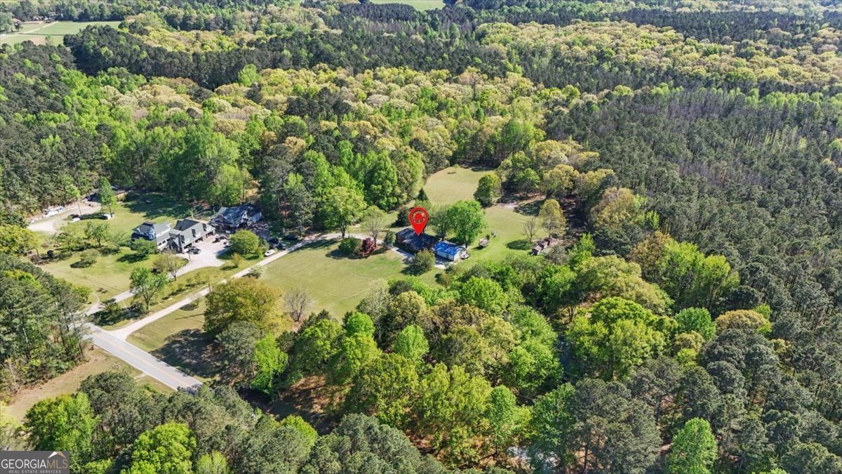 812 Pine Grove Road Tallapoosa - Photo 55