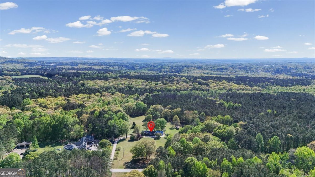 812 Pine Grove Road Tallapoosa - Photo 56