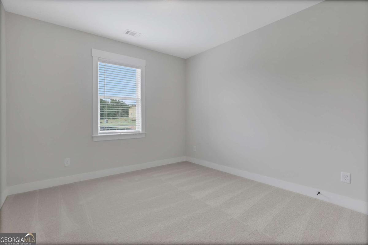 4230 Mary Ruth Way Loganville - Photo 24