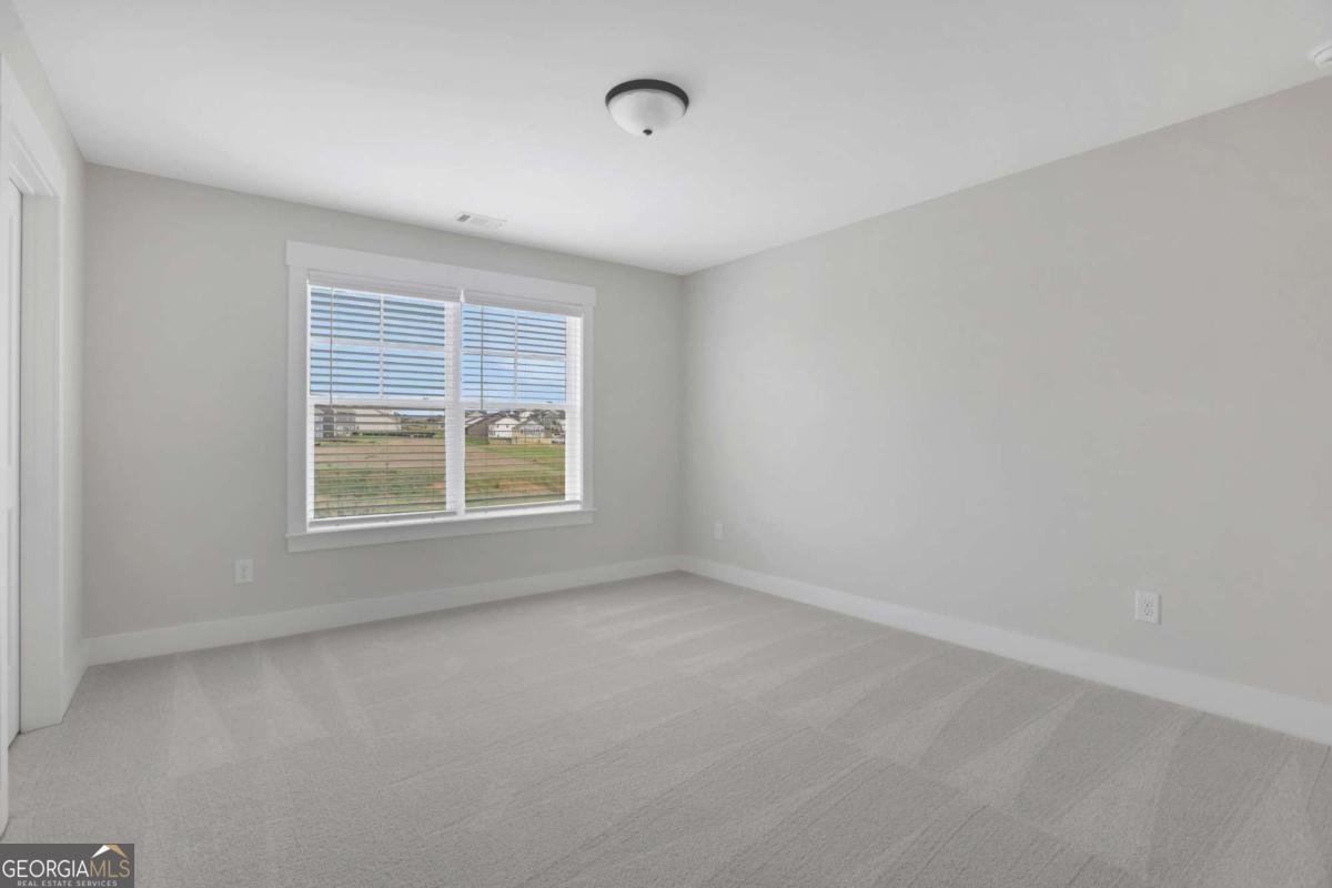 4230 Mary Ruth Way Loganville - Photo 37