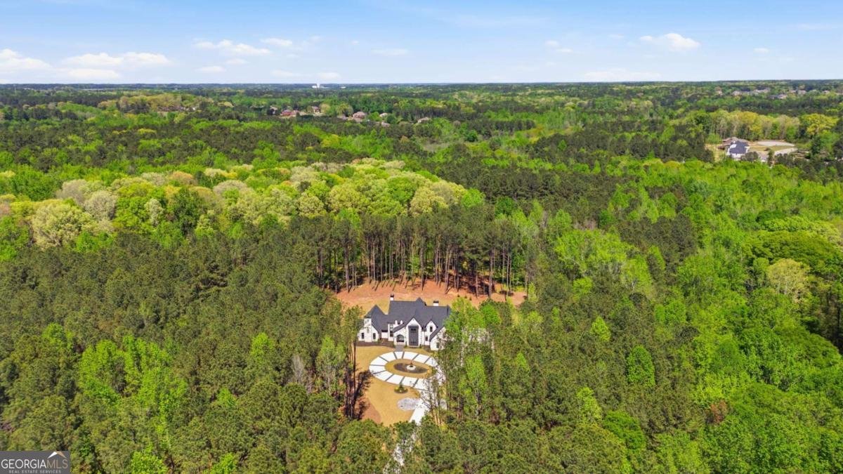 1315 Sandy Creek Road Tyrone - Photo 100