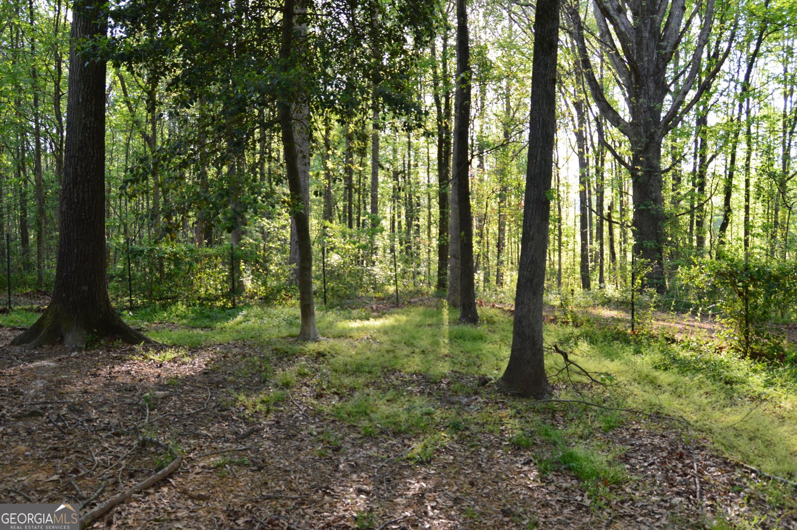 161 Kathryn Way Commerce - Photo 32