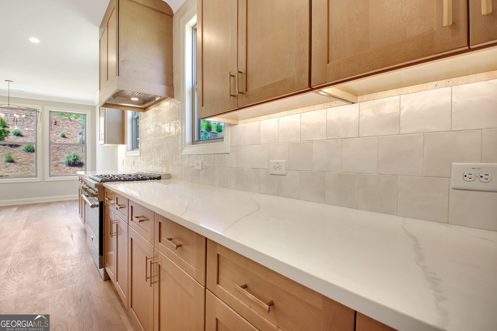 350 Werner Way Senoia - Photo 22