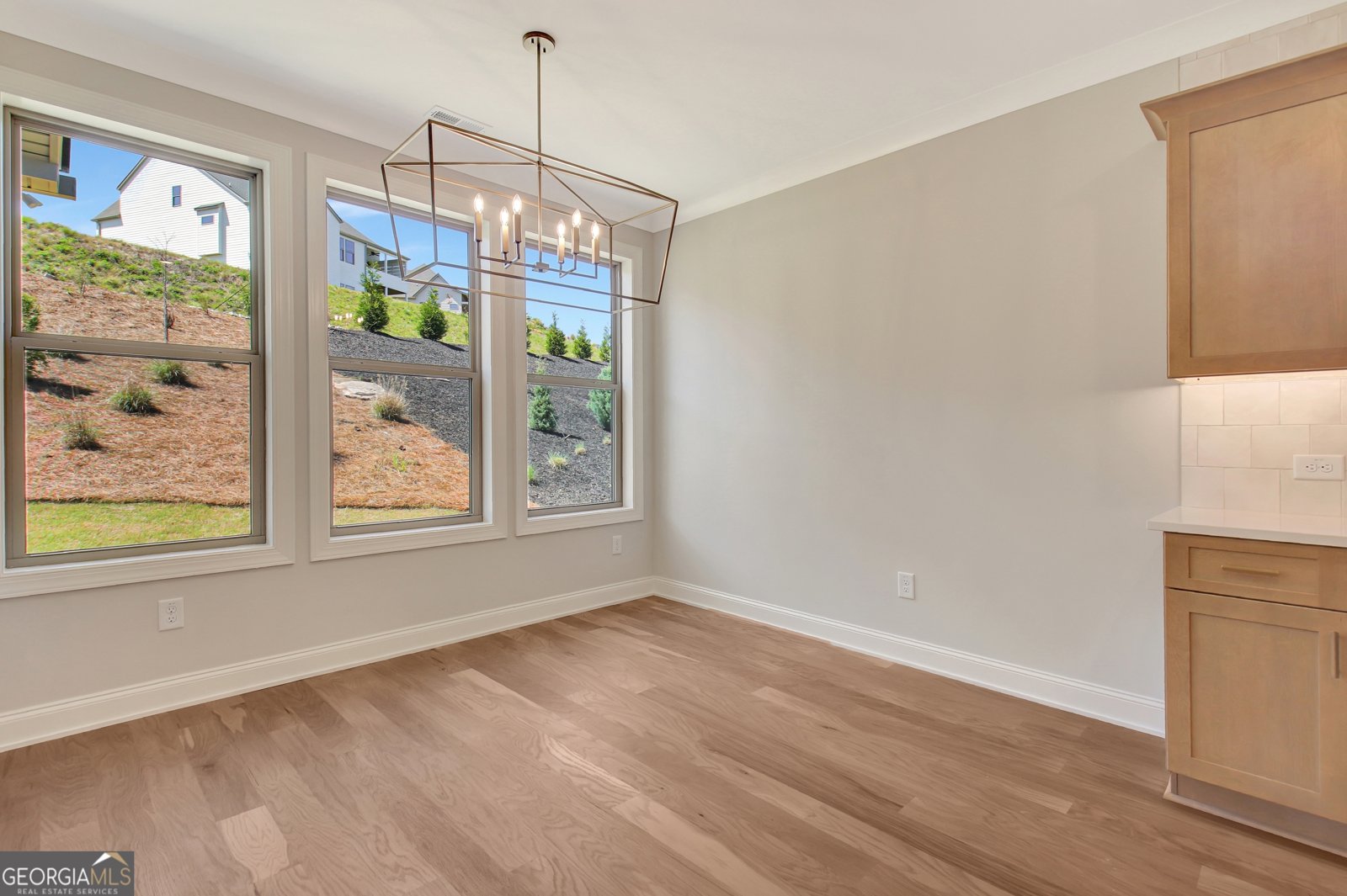 350 Werner Way Senoia - Photo 27