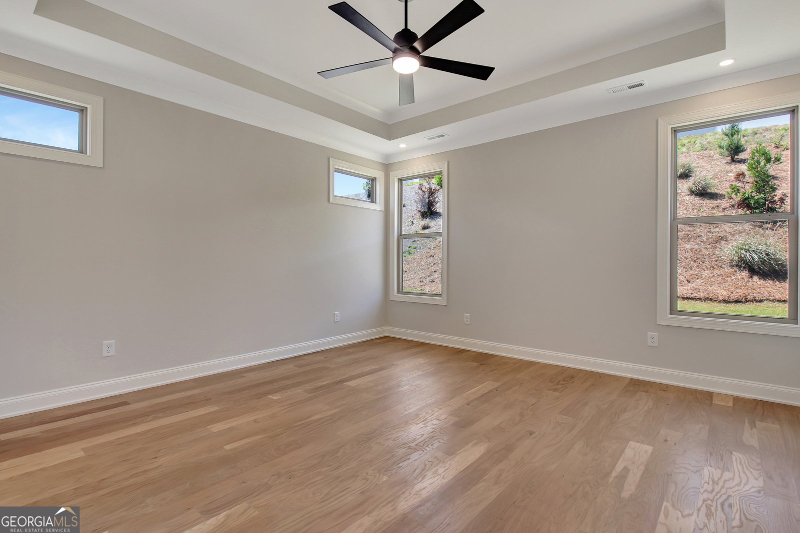 350 Werner Way Senoia - Photo 39