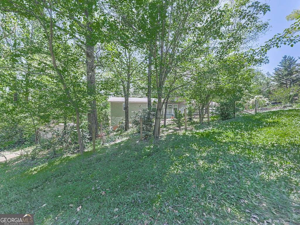 424 Shamrock Drive Dalton - Photo 38