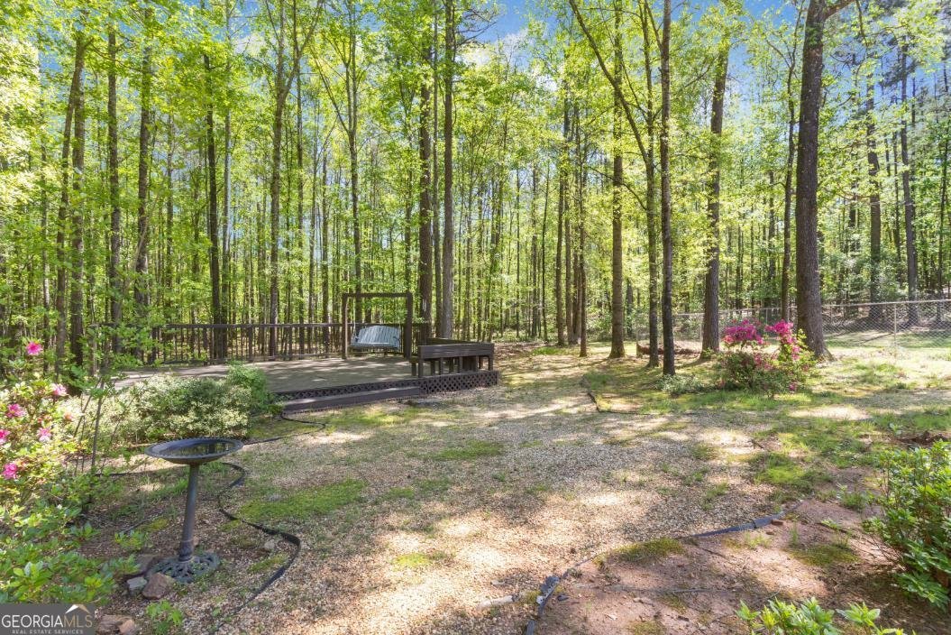 130 Sam Solomon Road Locust Grove - Photo 60