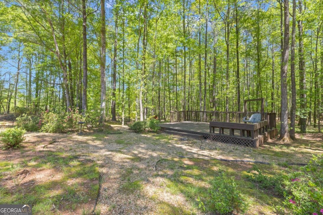 130 Sam Solomon Road Locust Grove - Photo 64